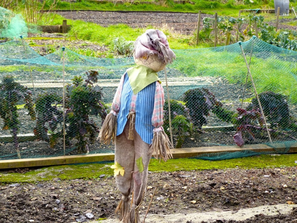 Scarecrow at East Meon Allotments