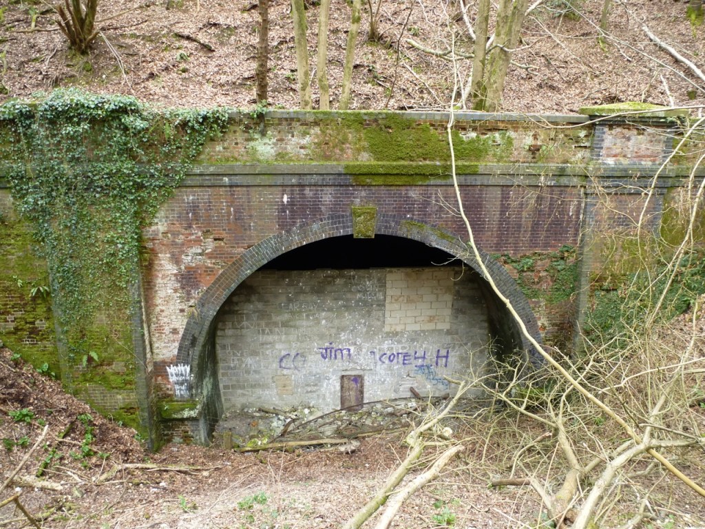 Privett Tunnel North