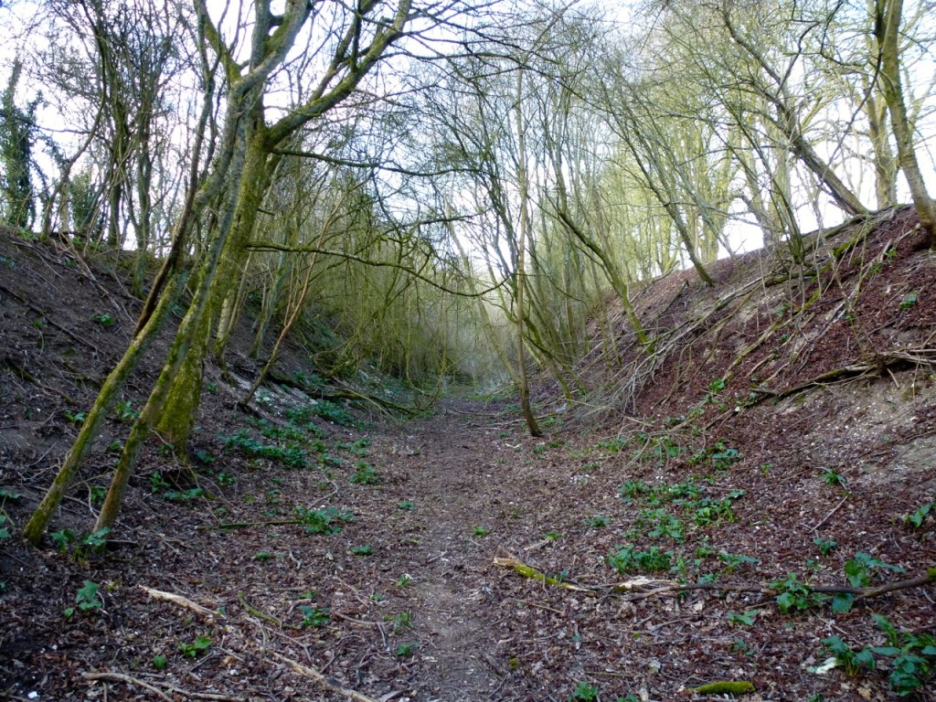 Cutting north of West Meon