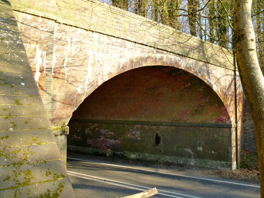 Meon Valley Line A272 Tunnel-2