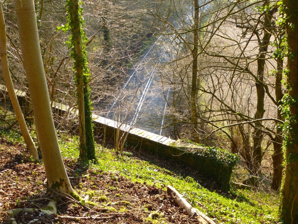 Meon Valley Line above A272-2