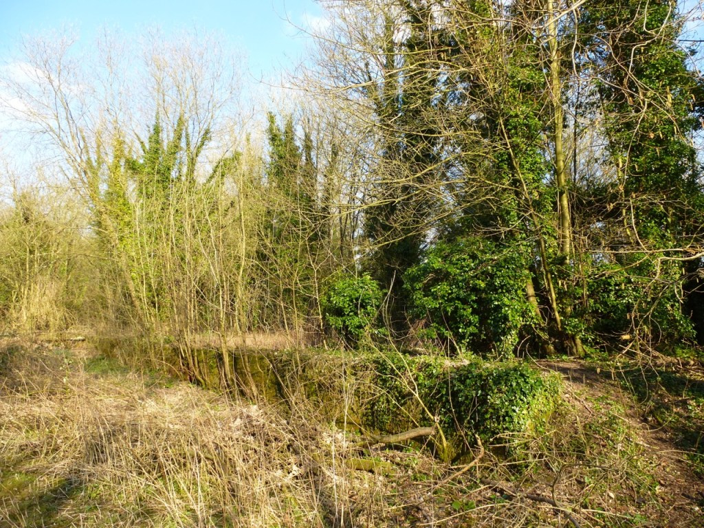 Site of West Meon Station building