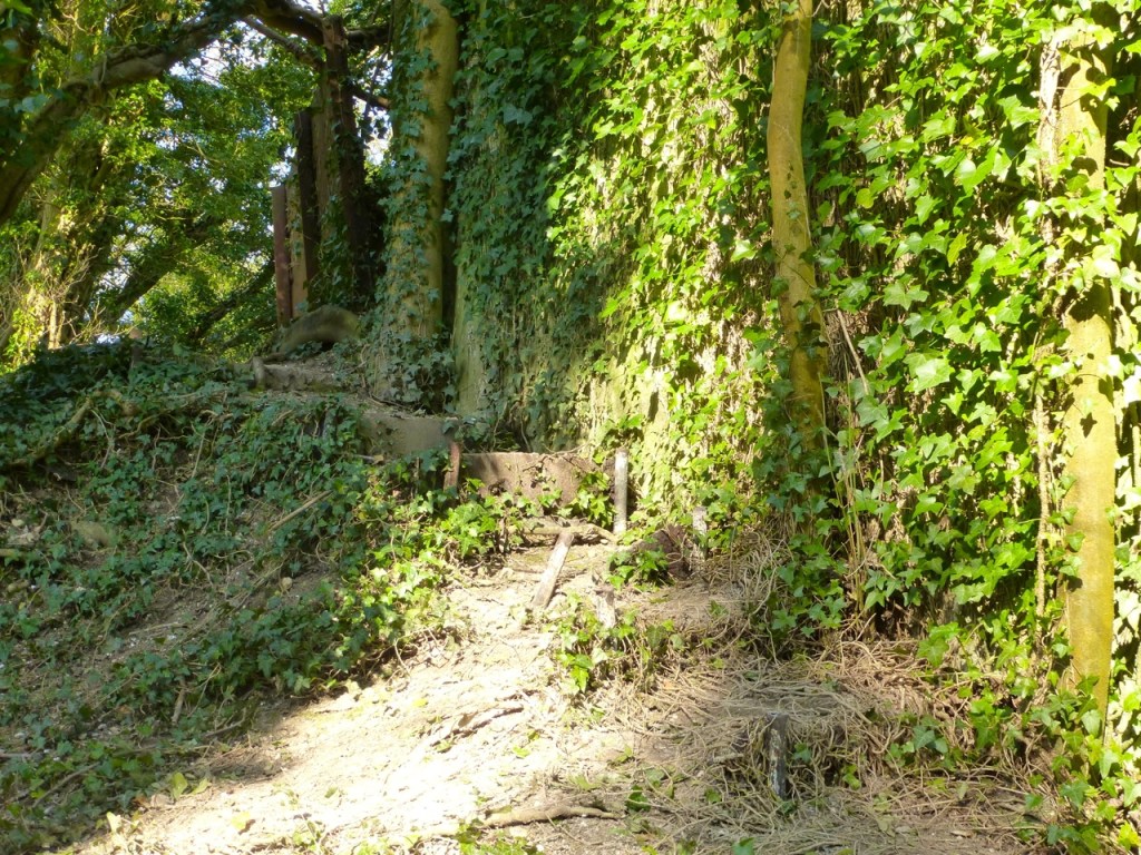 Steps to side of West Meon viaduct foundations