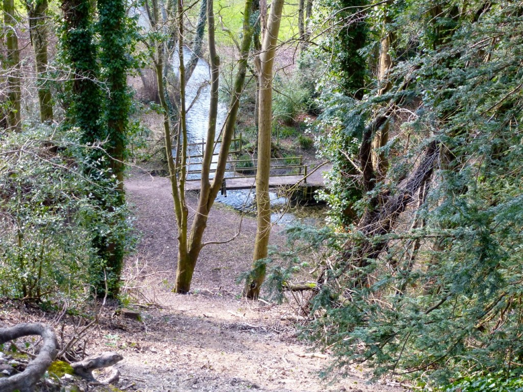 West meon embankment south of viaduct-2
