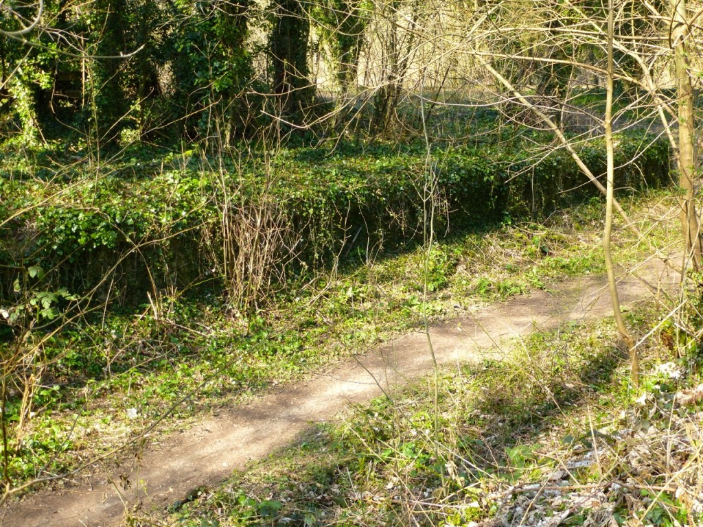 West meon station platform
