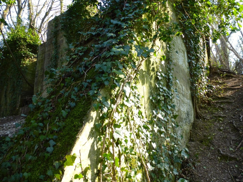 West Meon viaduct abutment