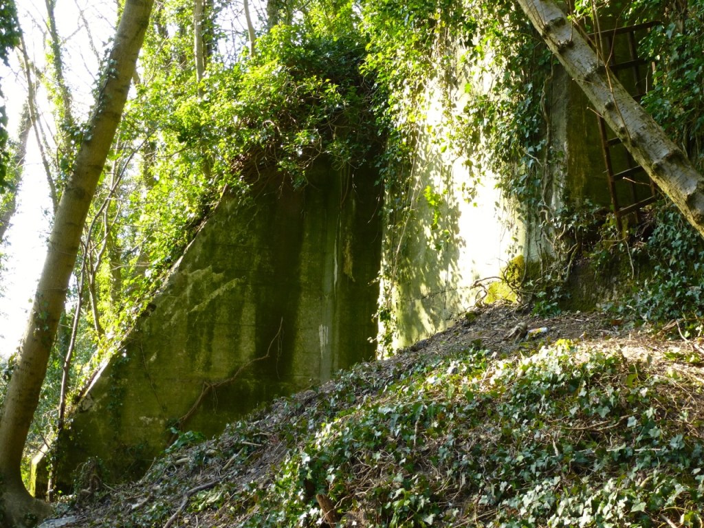 West Meon viaduct foundations, north side
