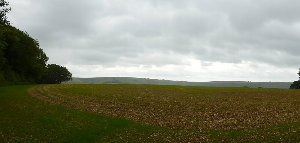 South Downs