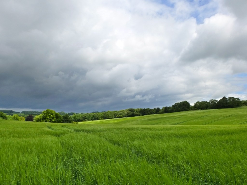 Westbury Park Hampshire