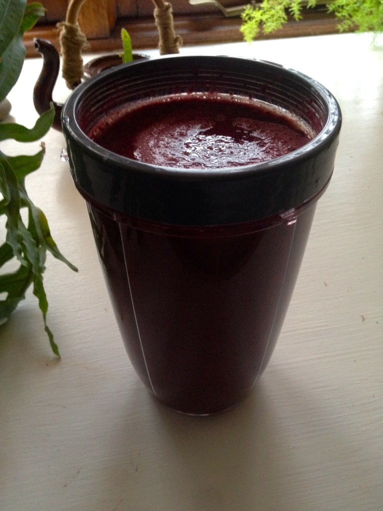 Berry Blast Smoothie
