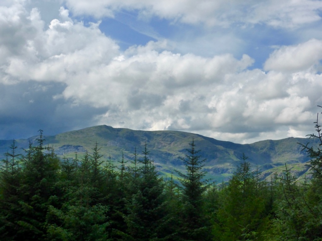 Coniston Fells from Grizedale