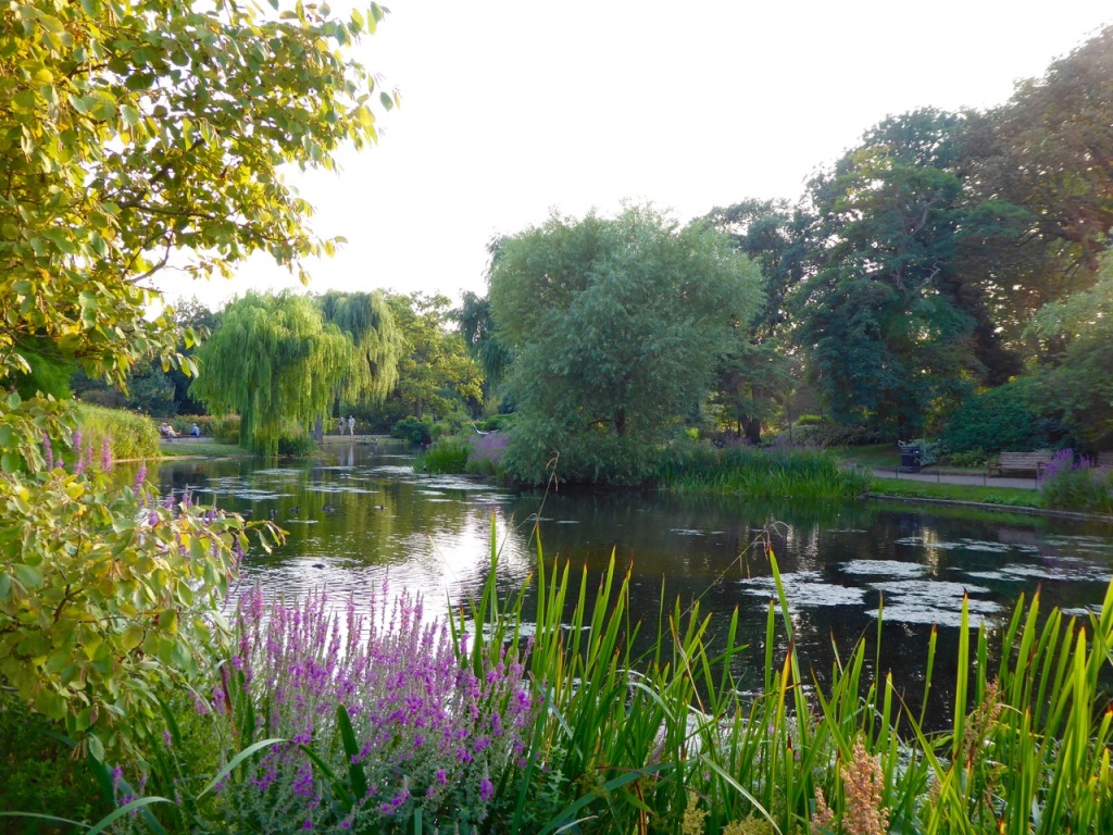 Pond in Queen Mary's Gardens, The Regent's Park