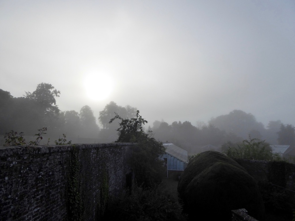 Misty morning early September