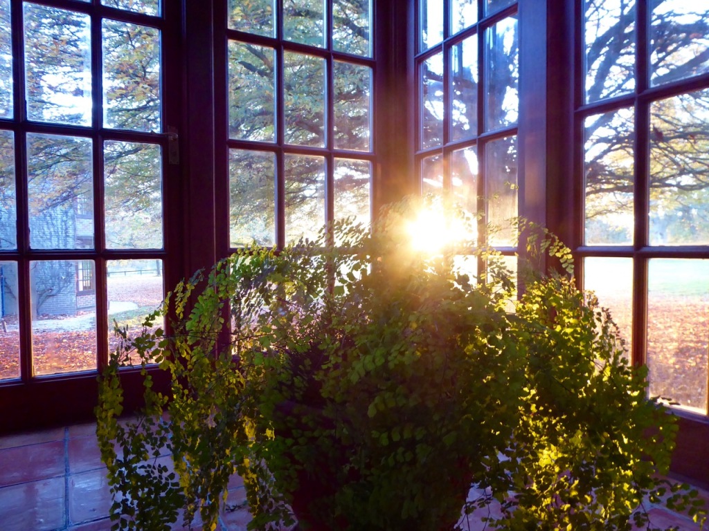 Sunset through windows