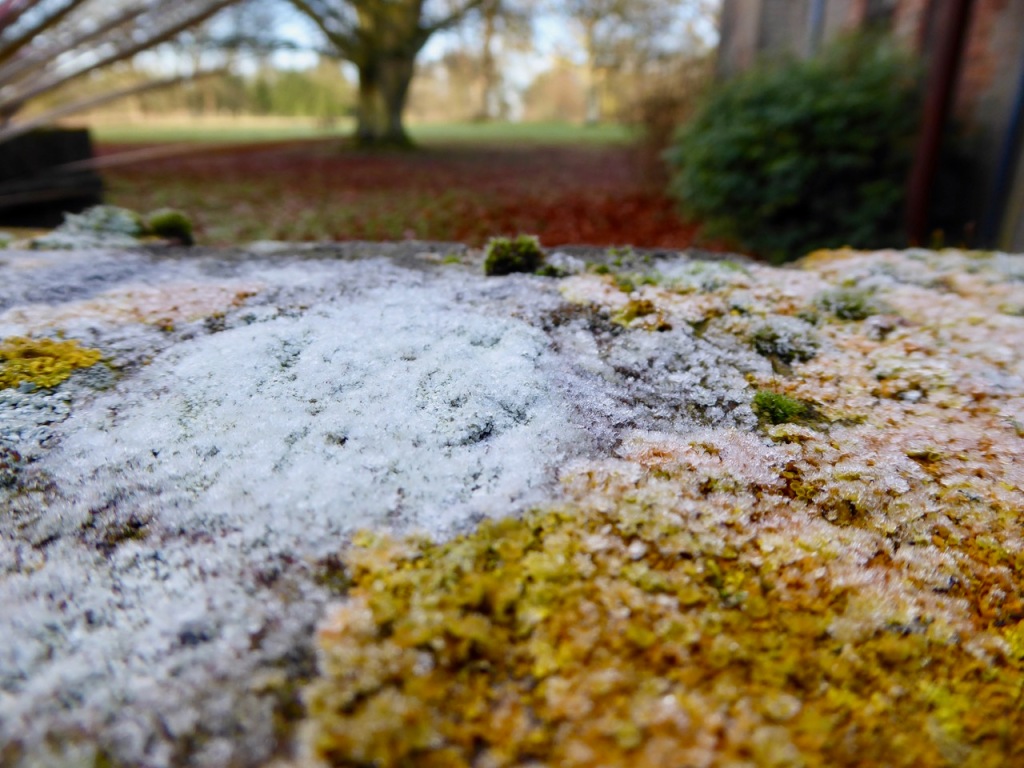 Frost and lichen