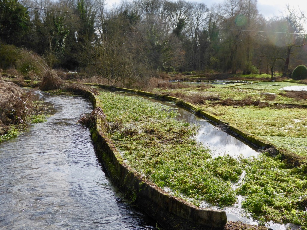 Watercress beds, Old Alresford
